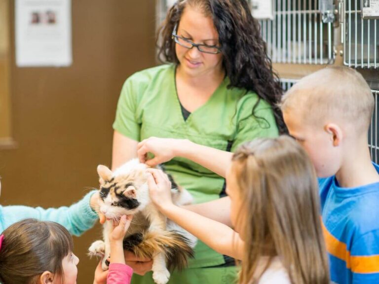 The Humane Society of the United States, its mission to protect animals