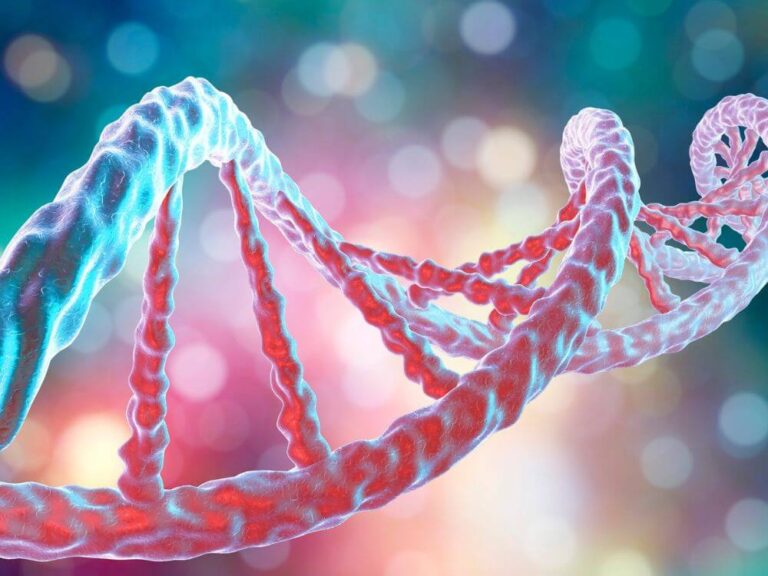 DNA of Cats