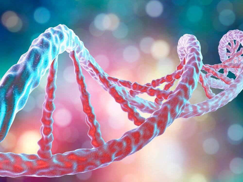 DNA of Cats