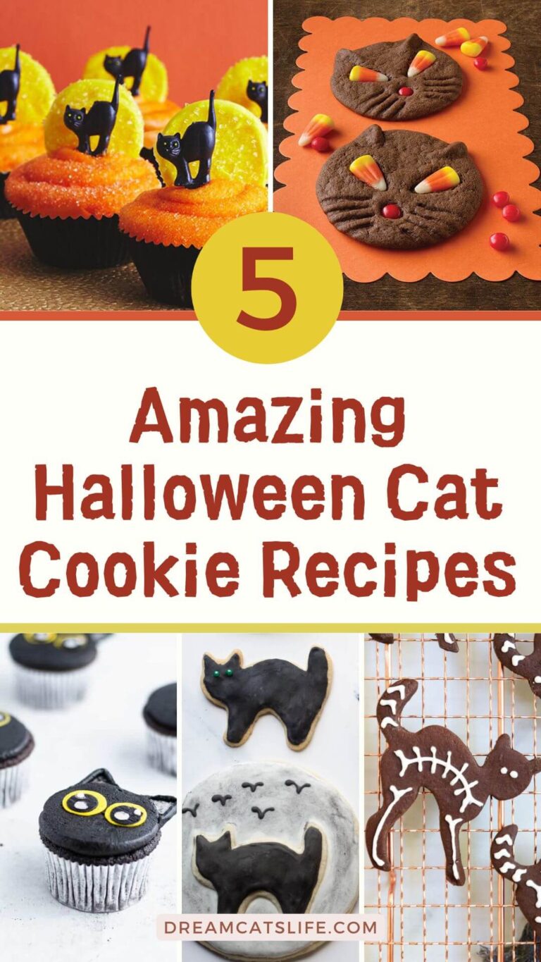 5 Amazing Halloween Cat Cookie Recipes You Must Try