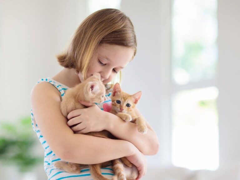 Cats and Children