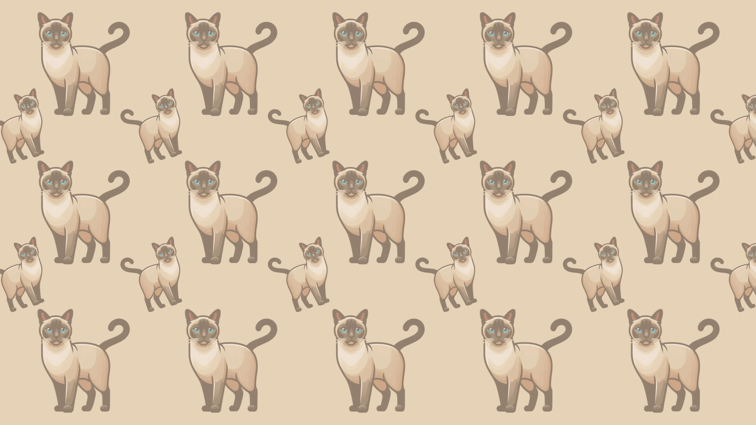 Siamese Cat Wallpaper Pattern