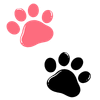 Cat Name Finder