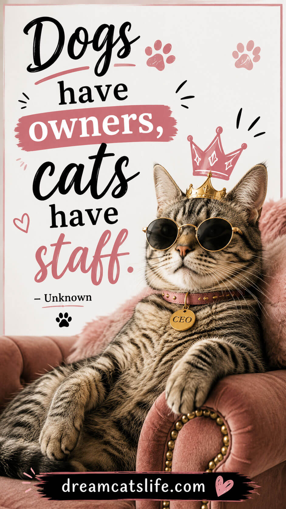 Cat Quote 2