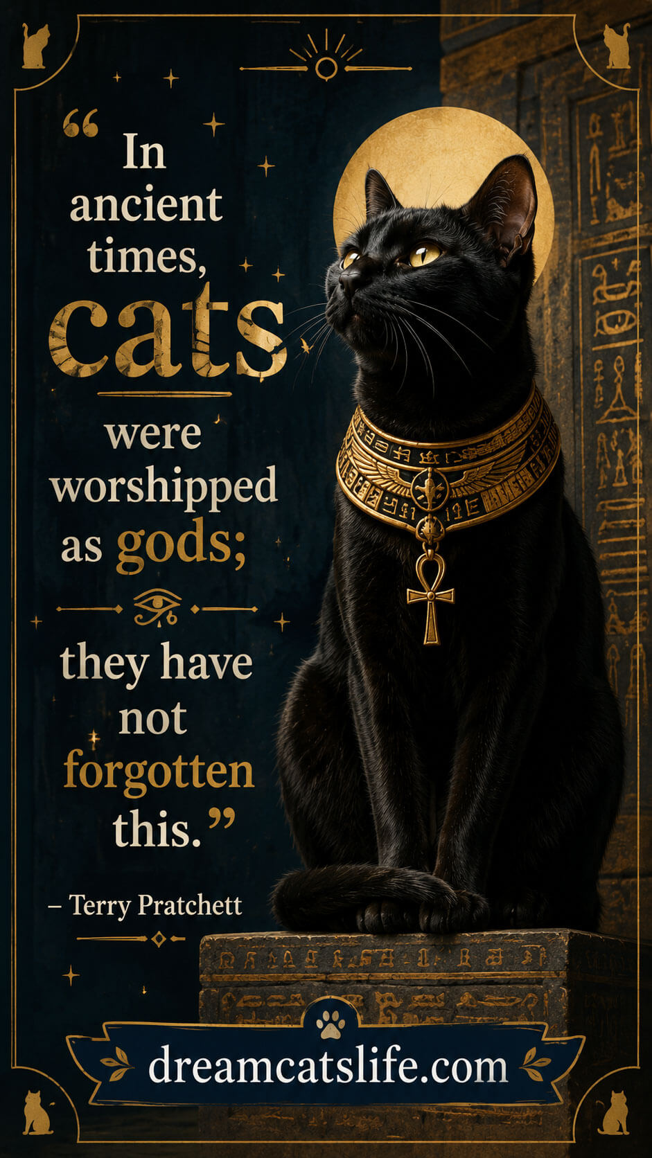 Cat Quote 4
