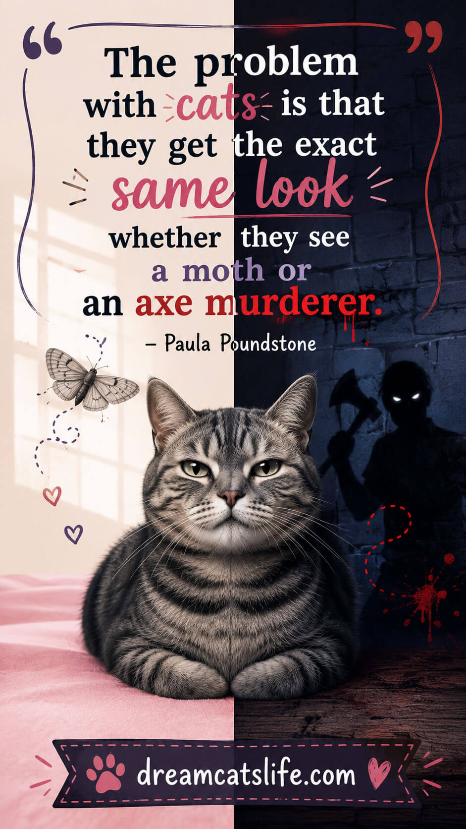 Cat Quote 7
