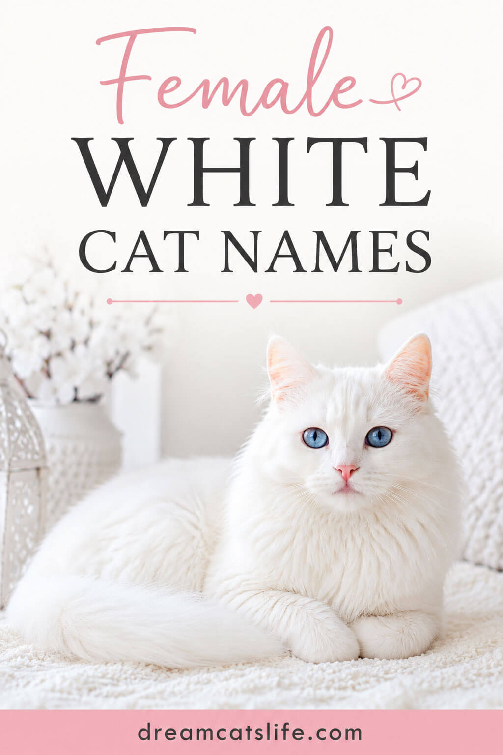 Female White Cat Names