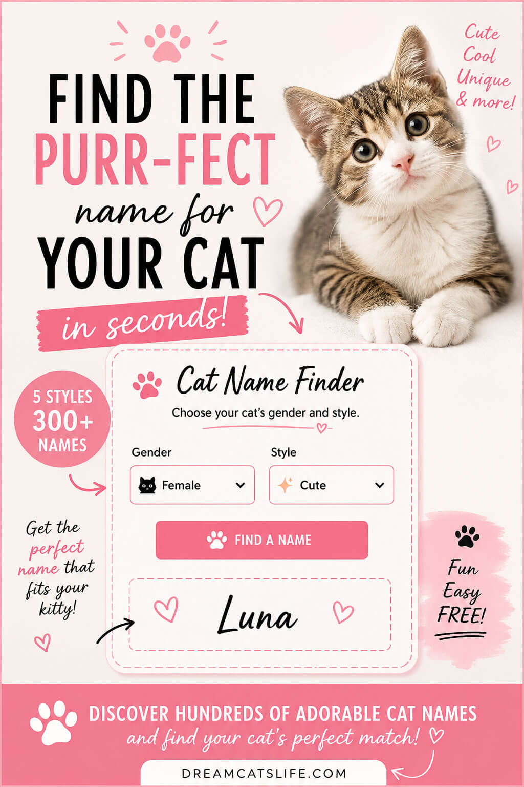 Fun Cat Name Finder