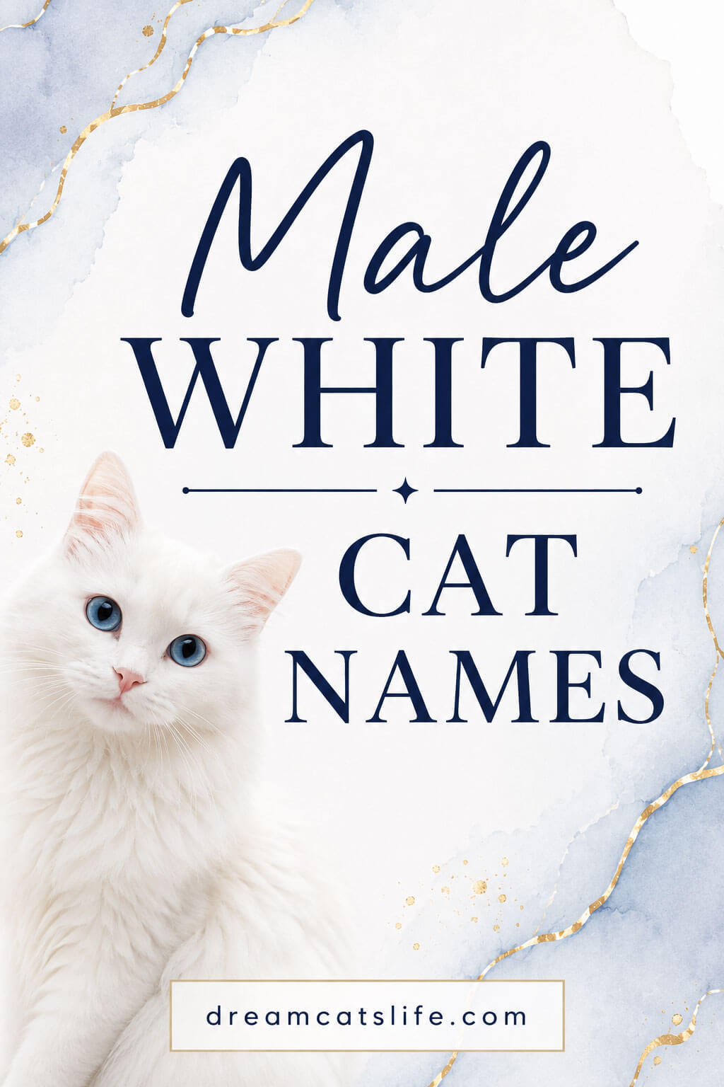 Male White Cat Names