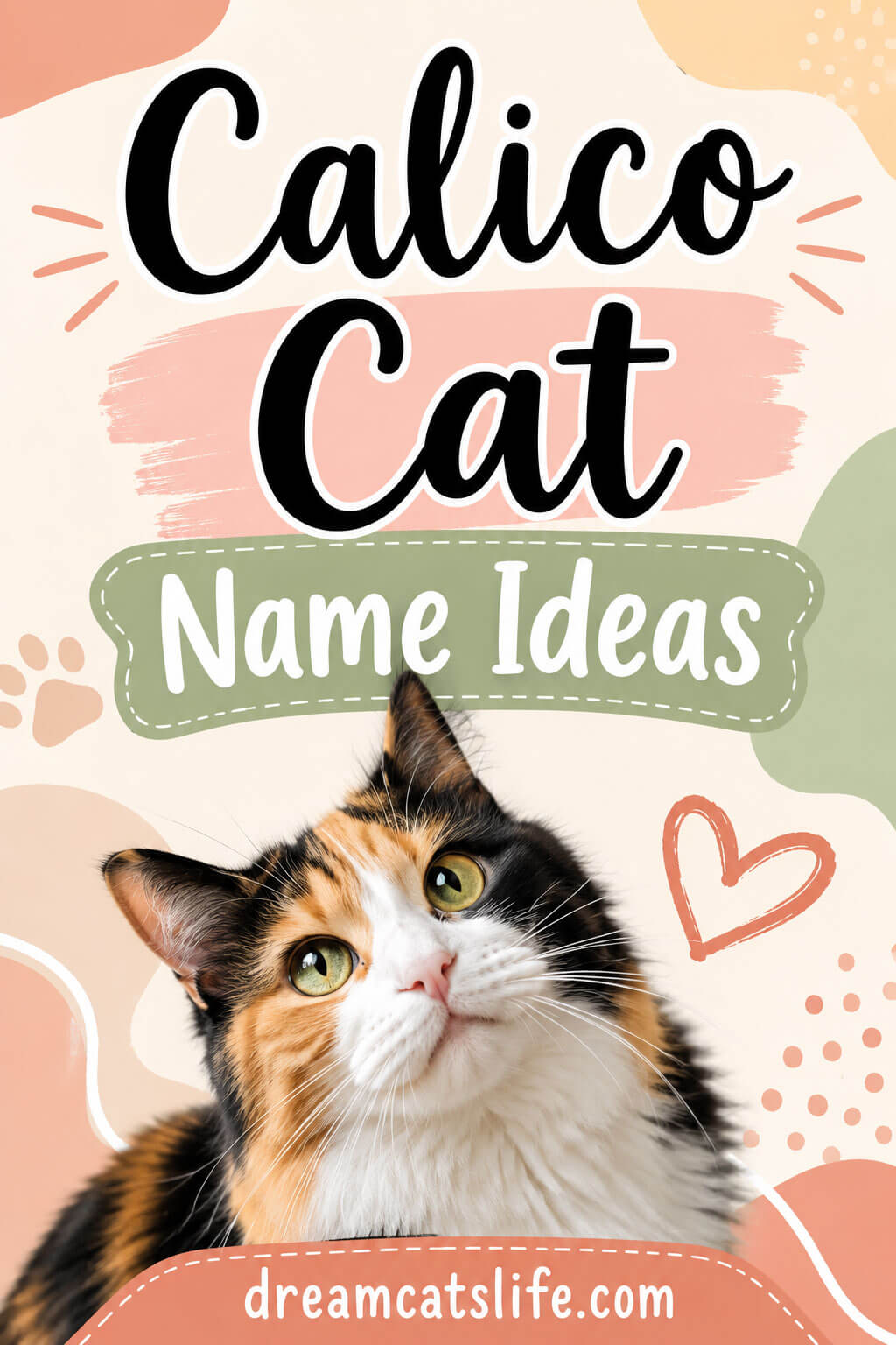 Calico Cat Name Ideas